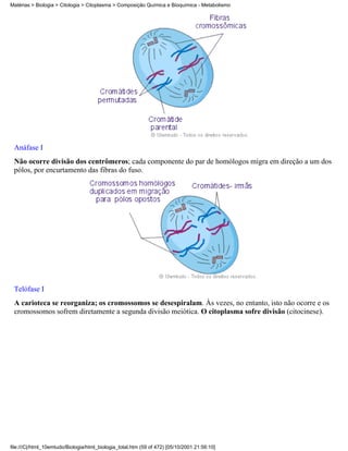 Matérias > Biologia > Citologia > Citoplasma > Composição Química e Bioquímica - Metabolismo




 Anáfase I
 Não ocorre divisão dos centrômeros; cada componente do par de homólogos migra em direção a um dos
 pólos, por encurtamento das fibras do fuso.




 Telófase I
 A carioteca se reorganiza; os cromossomos se desespiralam. Às vezes, no entanto, isto não ocorre e os
 cromossomos sofrem diretamente a segunda divisão meiótica. O citoplasma sofre divisão (citocinese).




file:///C|/html_10emtudo/Biologia/html_biologia_total.htm (59 of 472) [05/10/2001 21:56:10]
 
