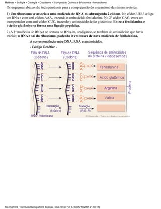 Matérias > Biologia > Citologia > Citoplasma > Composição Química e Bioquímica - Metabolismo

 Os esquemas abaixo são indispensáveis para a compreensão do mecanismo da síntese proteíca.
 1) Um ribossomo se associa a uma molécula de RNA-m, abrangendo 2 códons. No códon UUU se liga
 um RNA-t com anti-códon AAA, trazendo o aminoácido fenilalanina. No 2º códon GAG, entra um
 transportador com anti-códon CUC, trazendo o aminoácido ácido glutâmico. Entre a fenilalanina e
 o ácido glutâmico se forma uma ligação peptídica.
 2) A 1ª molécula de RNA-t se destaca do RNA-m, desligando-se também do aminoácido que havia
 trazido; o RNA-t sai do ribossomo, podendo ir em busca de nova molécula de fenilalanina.
                        A correspondência entre DNA, RNA e aminoácidos.
                        - Código Genético -




file:///C|/html_10emtudo/Biologia/html_biologia_total.htm (77 of 472) [05/10/2001 21:56:11]
 