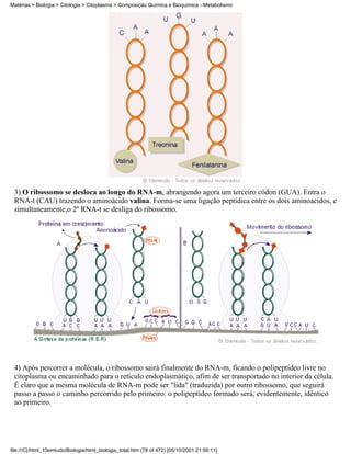 Matérias > Biologia > Citologia > Citoplasma > Composição Química e Bioquímica - Metabolismo




 3) O ribossomo se desloca ao longo do RNA-m, abrangendo agora um terceiro códon (GUA). Entra o
 RNA-t (CAU) trazendo o aminoácido valina. Forma-se uma ligação peptídica entre os dois aminoacidos, e
 simultaneamente,o 2º RNA-t se desliga do ribossomo.




 4) Após percorrer a molécula, o ribossomo sairá finalmente do RNA-m, ficando o polipeptídeo livre no
 citoplasma ou encaminhado para o retículo endoplasmático, afim de ser transportado no interior da célula.
 É claro que a mesma molécula de RNA-m pode ser "lida" (traduzida) por outro ribossomo, que seguirá
 passo a passo o caminho percorrido pelo primeiro: o polipeptídeo formado será, evidentemente, idêntico
 ao primeiro.




file:///C|/html_10emtudo/Biologia/html_biologia_total.htm (78 of 472) [05/10/2001 21:56:11]
 