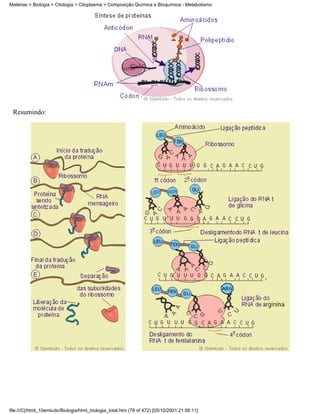 Matérias > Biologia > Citologia > Citoplasma > Composição Química e Bioquímica - Metabolismo




 Resumindo:




file:///C|/html_10emtudo/Biologia/html_biologia_total.htm (79 of 472) [05/10/2001 21:56:11]
 