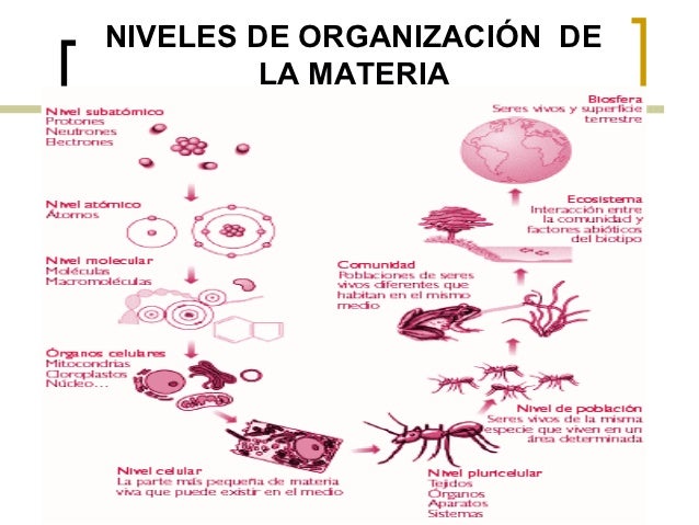 Biologia