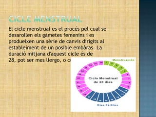 El cicle menstrual es el procés pel cual se
desarollen els gàmetes femenins i es
produeixen una sèrie de canvis dirigits al
estableiment de un posible embàras. La
duració mitjana d'aquest cicle és de
28, pot ser mes llergo, o curt.
 