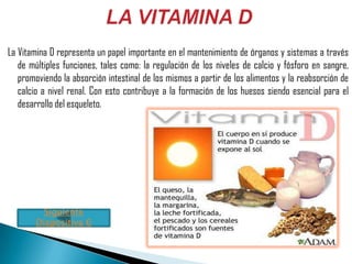 La Vitamina D representa un papel importante en el mantenimiento de órganos y sistemas a través
   de múltiples funciones, tales como: la regulación de los niveles de calcio y fósforo en sangre,
   promoviendo la absorción intestinal de los mismos a partir de los alimentos y la reabsorción de
   calcio a nivel renal. Con esto contribuye a la formación de los huesos siendo esencial para el
   desarrollo del esqueleto.




          Siguiente
        Diapositiva 6
 