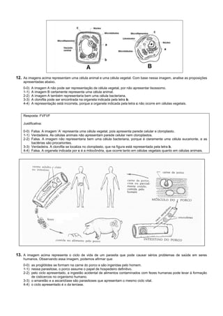 12. As imagens acima representam uma célula animal e uma célula vegetal. Com base nessa imagem, analise as proposições
    apresentadas abaixo.
    0-0)   A imagem A não pode ser representação de célula vegetal, por não apresentar lisossomo.
    1-1)   A imagem B certamente representa uma célula animal.
    2-2)   A imagem A também representaria bem uma célula bacteriana.
    3-3)   A clorofila pode ser encontrada na organela indicada pela letra b.
    4-4)   A representação está incorreta, porque a organela indicada pela letra c não ocorre em células vegetais.


    Resposta: FVFVF

    Justificativa:

    0-0) Falsa. A imagem ‘A’ representa uma célula vegetal, pois apresenta parede celular e cloroplasto.
    1-1) Verdadeira. As células animais não apresentam parede celular nem cloroplastos.
    2-2) Falsa. A imagem não representaria bem uma célula bacteriana, porque é claramente uma célula eucarionte, e as
         bactérias são procariontes.
    3-3) Verdadeira. A clorofila se localiza no cloroplasto, que na figura está representada pela letra b.
    4-4) Falsa. A organela indicada por c é a mitocôndria, que ocorre tanto em células vegetais quanto em células animais.




13. A imagem acima representa o ciclo de vida de um parasita que pode causar sérios problemas de saúde em seres
    humanos. Observando essa imagem, podemos afirmar que:
    0-0) as proglótides se formam na carne do porco e são ingeridas pelo homem.
    1-1) nessa parasitose, o porco assume o papel de hospedeiro definitivo.
    2-2) pelo ciclo apresentado, a ingestão acidental de alimentos contaminados com fezes humanas pode levar à formação
         de cisticercos no organismo humano.
    3-3) o amarelão e a ascaridíase são parasitoses que apresentam o mesmo ciclo vital.
    4-4) o ciclo apresentado é o da teníase.
 