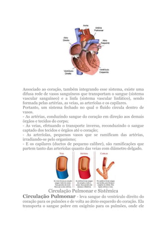 Associado ao coração, também integrando esse sistema, existe uma
difusa rede de vasos sanguíneos que transportam o sangue (sistema
vascular sanguíneo) e a linfa (sistema vascular linfático), sendo
formada pelas artérias, as veias, as arteríolas e os capilares.
Portanto, um sistema fechado no qual o fluido circula dentro de
vasos.
- As artérias, conduzindo sangue do coração em direção aos demais
órgãos e tecidos do corpo;
- As veias, efetuando o transporte inverso, reconduzindo o sangue
captado dos tecidos e órgãos até o coração;
- As arteríolas, pequenos vasos que se ramificam das artérias,
irradiando-se pelo organismo;
- E os capilares (ductos de pequeno calibre), são ramificações que
partem tanto das arteríolas quanto das veias com diâmetro delgado.




          Circulação Pulmonar e Sistêmica
Circulação Pulmonar - leva sangue do ventrículo direito do
coração para os pulmões e de volta ao átrio esquerdo do coração. Ela
transporta o sangue pobre em oxigênio para os pulmões, onde ele
 
