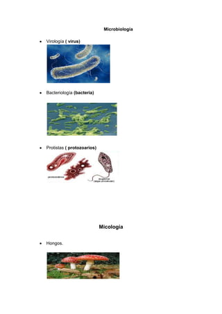 Microbiología

Virología ( virus)




Bacteriología (bacteria)




Protistas ( protozoarios)




                            Micología


Hongos.
 