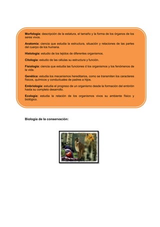 Morfología: descripción de la estatura, el tamaño y la forma de los órganos de los
seres vivos.

Anatomía: ciencia que estudia la estructura, situación y relaciones de las partes
del cuerpo de los humana.

Histología: estudio de los tejidos de diferentes organismos.

Citología: estudio de las células su estructura y función.

Fisiología: ciencia que estudia las funciones d los organismos y los fenómenos de
la vida.

Genética: estudia los mecanismos hereditarios, como se transmiten los caracteres
físicos, químicos y conductuales de padres a hijos.

Embriología: estudia el progreso de un organismo desde la formación del embrión
hasta su completo desarrollo.

Ecología: estudia la relación de los organismos vivos su ambiente físico y
biológico.




Biología de la conservación:
 