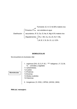 Formando: (C, H, O, N) 95% materia viva

                     Primarios        son solubles en agua

    Clasificación     secundarios (P, S, Ca, Cl, Na, K, Mg) 4.5% materia viva

                     Oligoelementos     (Fe, I, Mn, Cu, Co, Zn, Ni, F, Mo,

                                        Al, B, V, Si, Sn, Cr, Li) 0,5%




                                 BIOMOLECULAS

 Se encuentran en el proceso vital:



                    1. orgánicos (CH) (O, S, P, B )       halógenos ( F, Cl, Br,
                       Y) - animales y vegetales
                    1.1 carbohidratos.
                    1.2 Lípidos
Biomoleculas        1.3 Proteínas
                    1.4 Enzimas
                    1.5 Ácidos nucleídos
                    1.6 Vitaminas

                    2. Inorgánicos ( O, CO2) ( HPO4) (HCO4) (NH4)



 RNA (m) mensajero:
 