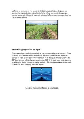 La Tierra se compone de tres partes: la atmósfera, que es la capa de gases que
permiten la respiración dentro del planeta; la hidrósfera, compuesta de agua que
permite la vida, y la litósfera, la superficie sólida de la Tierra, que nos proporciona los
nutrientes apropiados.




Estructura y propiedades del agua:

El agua es el principal e imprescindible componente del cuerpo humano. El ser
humano no puede estar sin beberla más de cinco o seis días sin poner en
peligro su vida. El cuerpo humano tiene un 75 % de agua al nacer y cerca del
60 % en la edad adulta. Aproximadamente el 60 % de este agua se encuentra
en el interior de las células (agua intracelular). El resto (agua extracelular) es la
que circula en la sangre y baña los tejidos.




                     Los diez mandamientos de la naturaleza.
 