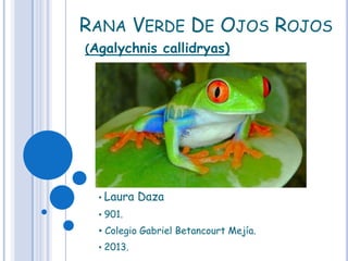 RANA VERDE DE OJOS ROJOS
(Agalychnis callidryas)




  • Laura   Daza
  • 901.
  • Colegio Gabriel Betancourt Mejía.
  • 2013.
 