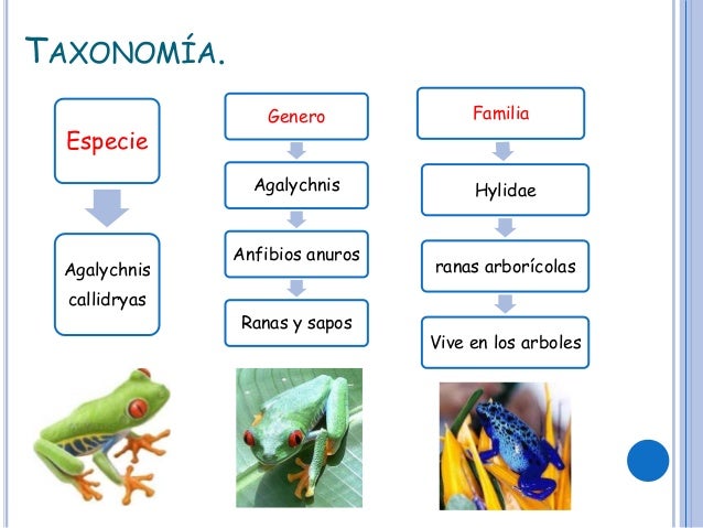 Biologia