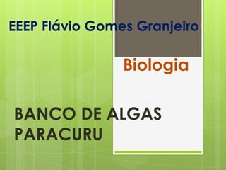 EEEP Flávio Gomes Granjeiro
Biologia
BANCO DE ALGAS
PARACURU
 