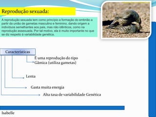 Reprodução sexuada:
Isabelle
Imagem de www.infopedia.pt
A reprodução sexuada tem como princípio a formação do embrião a
partir da união de gametas masculino e feminino, dando origem a
indivíduos semelhantes aos pais, mas não idênticos, como na
reprodução assexuada. Por tal motivo, ela é muito importante no que
se diz respeito à variabilidade genética.
Características
É uma reprodução do tipo
Gâmica (utiliza gametas)
Lenta
Gasta muita energia
Alta taxa de variabilidade Genética
 