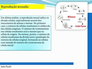 Reprodução sexuada:
Em última análise, a reprodução sexual radica na
divisão celular, especialmente através dos
mecanismos da mitose e meiose. No primeiro
caso, o número de células resultantes é o dobro do
das células originais. O número de cromossomas
nas células resultantes será o mesmo que na
célula de origem. Na meiose, porém, o número de
células resultantes da divisão será o quádruplo do
número de células original, formando-se células
com metade do número de cromossomas da
célula inicial.
João Paulo
 