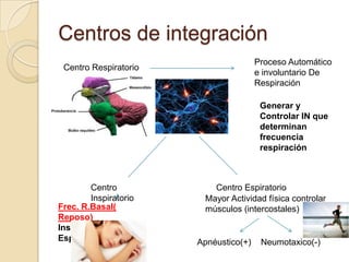 Centros de integración
Centro Respiratorio
Proceso Automático
e involuntario De
Respiración
Generar y
Controlar IN que
determinan
frecuencia
respiración
Centro
Inspiratorio
Centro Espiratorio
Frec. R.Basal(
Reposo)
Inspiración –
Espiración
Mayor Actividad física controlar
músculos (intercostales)
Apnéustico(+) Neumotaxico(-)
 