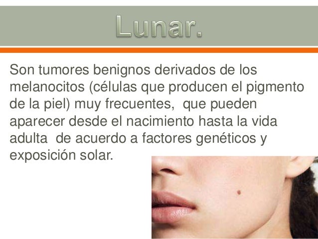 El libro sobre la peca