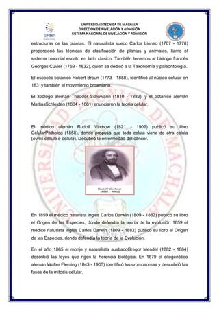 UNIVERSIDAD TÉCNICA DE MACHALA
DIRECCIÓN DE NIVELACIÓN Y ADMISIÓN
SISTEMA NACIONAL DE NIVELACIÓN Y ADMISIÓN
estructuras de las plantas. El naturalista sueco Carlos Linneo (1707 - 1778)
proporcionó las técnicas de clasificación de plantas y animales, llamo el
sistema binomial escrito en latín clasico. También tenemos al biólogo francés
Georges Cuvier (1769 - 1832), quien se dedicó a la Taxonomía y paleontología.
El escocés botánico Robert Broun (1773 - 1858), identificó al núcleo celular en
1831y también el movimiento browniano.
El zoólogo alemán Theodor Schuwann (1810 - 1882), y el botánico alemán
MattiasSchleiden (1804 - 1881) enunciaron la teoría celular.
El médico alemán Rudolf Virchow (1821 - 1902) publicó su libro
CélularPatholog (1858), donde propuso que toda celula viene de otra celula
(ovnis cellula e cellula). Decubrió la enfermedad del cáncer.
En 1859 el médico naturista inglés Carlos Darwin (1809 - 1882) publicó su libro
el Origen de las Especies, donde defendía la teoría de la evolución 1859 el
médico naturista inglés Carlos Darwin (1809 - 1882) publicó su libro el Origen
de las Especies, donde defendía la teoría de la Evolución.
En el año 1865 el monje y naturalista austiacoGregor Mendel (1882 - 1884)
describió las leyes que rigen la herencia biológica. En 1879 el citogenético
alemán Walter Fleming (1843 - 1905) identificó los cromosomas y descubrió las
fases de la mitosis celular.
 