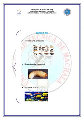 UNIVERSIDAD TÉCNICA DE MACHALA
DIRECCIÓN DE NIVELACIÓN Y ADMISIÓN
SISTEMA NACIONAL DE NIVELACIÓN Y ADMISIÓN
ZOOOLOGIA
Entomología (insectos)
Helmintología (gusanos)
Ictiología (peces)
 