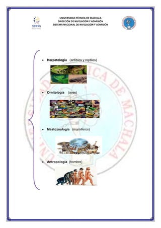 UNIVERSIDAD TÉCNICA DE MACHALA
DIRECCIÓN DE NIVELACIÓN Y ADMISIÓN
SISTEMA NACIONAL DE NIVELACIÓN Y ADMISIÓN
Herpetología (anfibios y reptiles)
Ornitología (aves)
Mastozoología (mamíferos)
Antropología (hombre)
 