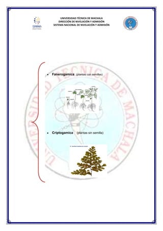 UNIVERSIDAD TÉCNICA DE MACHALA
DIRECCIÓN DE NIVELACIÓN Y ADMISIÓN
SISTEMA NACIONAL DE NIVELACIÓN Y ADMISIÓN
Fanerogamica (plantas con semillas)
Criptogamica (plantas sin semilla)
 