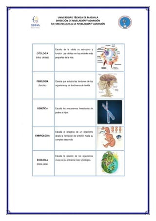 UNIVERSIDAD TÉCNICA DE MACHALA
DIRECCIÓN DE NIVELACIÓN Y ADMISIÓN
SISTEMA NACIONAL DE NIVELACIÓN Y ADMISIÓN
 
