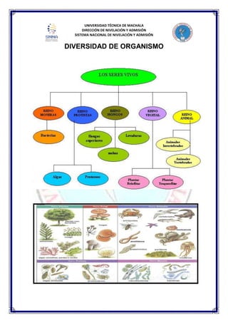 UNIVERSIDAD TÉCNICA DE MACHALA
DIRECCIÓN DE NIVELACIÓN Y ADMISIÓN
SISTEMA NACIONAL DE NIVELACIÓN Y ADMISIÓN
DIVERSIDAD DE ORGANISMO
 