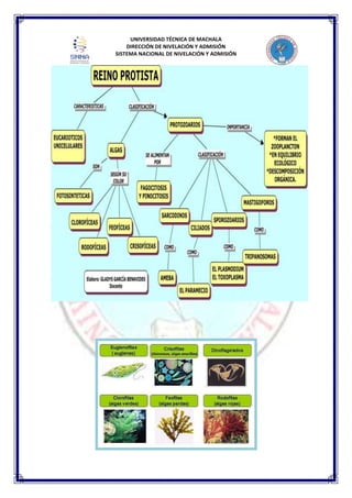 UNIVERSIDAD TÉCNICA DE MACHALA
DIRECCIÓN DE NIVELACIÓN Y ADMISIÓN
SISTEMA NACIONAL DE NIVELACIÓN Y ADMISIÓN
 