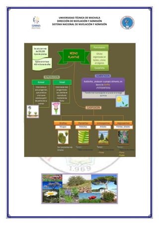 UNIVERSIDAD TÉCNICA DE MACHALA
DIRECCIÓN DE NIVELACIÓN Y ADMISIÓN
SISTEMA NACIONAL DE NIVELACIÓN Y ADMISIÓN
 