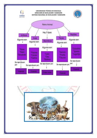 UNIVERSIDAD TÉCNICA DE MACHALA
DIRECCIÓN DE NIVELACIÓN Y ADMISIÓN
SISTEMA NACIONAL DE NIVELACIÓN Y ADMISIÓN
 