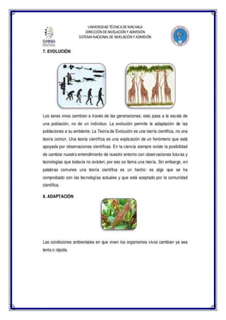 UNIVERSIDAD TÉCNICA DE MACHALA
DIRECCIÓN DE NIVELACIÓN Y ADMISIÓN
SISTEMA NACIONAL DE NIVELACIÓN Y ADMISIÓN
 