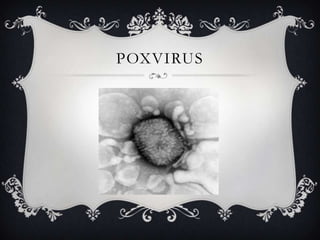 POXVIRUS
 