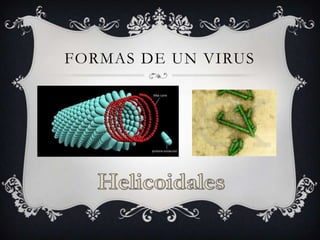 FORMAS DE UN VIRUS

 