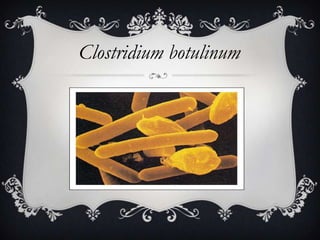 Clostridium botulinum
 
