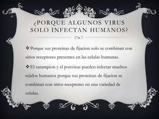 ¿PORQUE ALGUNOS VIRUS
SOLO INFECTAN HUMANOS?
Porque sus proteinas de fijacion solo se combinan con
sitios receptores presentes en las celulas humanas.
El sarampion y el poxvirus pueden infectar muchos
tejidos humanos porque sus proteinas de fijacion se
combinan con sitios receptores en una variedad de
celulas.
 