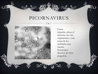 PICORNAVIRUS
Causa
hepatitis, afecta el
intestino, las vias
respiratorias y son
causa de los
resfriados mas
fuertes.
Son grupos
diversos de virus
pequeños.
 