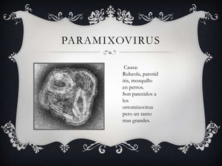 PARAMIXOVIRUS
Causa:
Rubeola, parotid
itis, mosquillo
en perros.
Son parecidos a
los
ortomixovirus
pero un tanto
mas grandes.
 