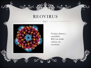 REOVIRUS
Vomito, diarrea y
encefalitis.
RNA de doble
cadena, sin
envoltura.
 