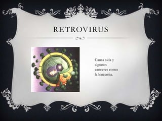 RETROVIRUS
Causa sida y
algunos
canceres como
la leucemia.
 