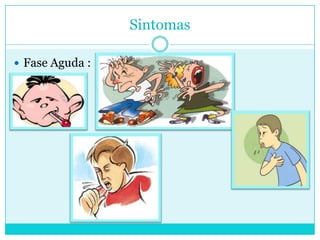 Sintomas
 Fase Aguda :
 