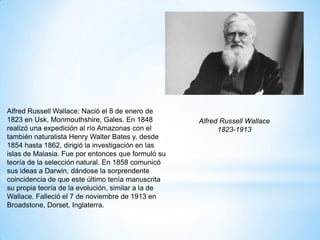 Alfred Russell Wallace: Nació el 8 de enero de
1823 en Usk, Monmouthshire, Gales. En 1848
realizó una expedición al río Amazonas con el
también naturalista Henry Walter Bates y, desde
1854 hasta 1862, dirigió la investigación en las
islas de Malasia. Fue por entonces que formuló su
teoría de la selección natural. En 1858 comunicó
sus ideas a Darwin, dándose la sorprendente
coincidencia de que este último tenía manuscrita
su propia teoría de la evolución, similar a la de
Wallace. Falleció el 7 de noviembre de 1913 en
Broadstone, Dorset, Inglaterra.
Alfred Russell Wallace
1823-1913
 