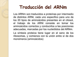 Traducción del ARNm
Los ARNm son traducidos a proteínas por intermedio
de distintos ARNt, cada uno especifico para uno de
los 20 tipos de aminoácidos presentes en el citosol,
el trabajo de los ARNt consiste en tomar los
aminoácidos correctos y conducirlos a las posiciones
adecuadas, marcadas por los nucleótidos del ARNm.
La síntesis proteica tiene lugar en el seno de los
ribosomas, y comienza con la unión entre sí de dos
monómeros (aminoácidos)
 