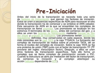 Pre-Iniciación
Antes del inicio de la transcripción se necesita toda una serie
de factores de transcripción que ejercen los factores de iniciación.
Estos se unen a secuencias específicas de ADN para reconocer el sitio
donde la transcripción ha de comenzar y se sintetice el ARN cebador.
Esta secuencia de ADN en la que se ensamblan los complejos de
transcripción se llama promotor. Los promotores se localizan en los
extremos 5'-terminales de los genes, antes del comienzo del gen, y a
ellos se unen los factores de transcripción mediante fuerzas de Van
der Waals y enlaces de hidrógeno. Los promotores tienen secuencias
reguladoras definidas, muy conservadas en cada especie, donde las
más conocidas son la caja TATA y la caja TTGACA. La formación del
complejo de transcripción se realiza sobre el promotor TATA, allí se
forma el núcleo del complejo de iniciación. Sobre la caja TATA se fija
una proteína de unión (TBP) junto con el factor de transcripción TF (TF
proviene del inglés: transcription factor). Después, a ellos se unen
otros factores de transcripción específicos. Todo ello forma un
complejo que se llama complejo de preiniciación cerrado o PIC.
Cuando la estructura se abre por mediación del factor de transcripción,
da comienzo la iniciación y al complejo abierto(por su
acción helicasa dependiente de ATP).
 