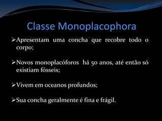 Classe Monoplacophora
Apresentam uma concha que recobre todo o
corpo;
Novos monoplacóforos há 50 anos, até então só
existiam fósseis;
Vivem em oceanos profundos;
Sua concha geralmente é fina e frágil.
 