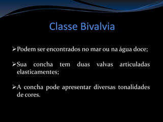 Classe Bivalvia
Podem ser encontrados no mar ou na água doce;
Sua concha tem duas valvas articuladas
elasticamentes;
A concha pode apresentar diversas tonalidades
de cores.
 
