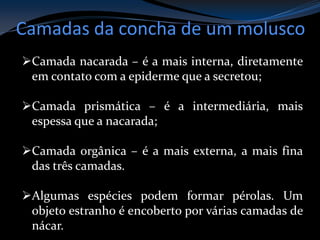 Camadas da concha de um molusco
Camada nacarada – é a mais interna, diretamente
em contato com a epiderme que a secretou;
Camada prismática – é a intermediária, mais
espessa que a nacarada;
Camada orgânica – é a mais externa, a mais fina
das três camadas.
Algumas espécies podem formar pérolas. Um
objeto estranho é encoberto por várias camadas de
nácar.
 