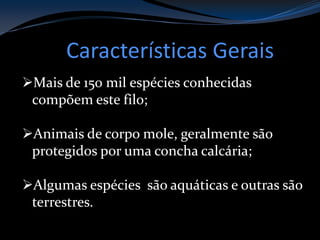 Características Gerais
Mais de 150 mil espécies conhecidas
compõem este filo;
Animais de corpo mole, geralmente são
protegidos por uma concha calcária;
Algumas espécies são aquáticas e outras são
terrestres.
 