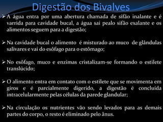 Digestão dos Bivalves
A água entra por uma abertura chamada de sifão inalante e é
varrida para cavidade bucal, a água sai pealo sifão exalante e os
alimentos seguem para a digestão;
Na cavidade bucal o alimento é misturado ao muco de glândulas
salivares e vai do esôfago para o estômago;
No esôfago, muco e enzimas cristalizam-se formando o estilete
translúcido;
O alimento entra em contato com o estilete que se movimenta em
giros e é parcialmente digerido, a digestão é concluída
intracelularmente pelas células da parede glandular;
Na circulação os nutrientes vão sendo levados para as demais
partes do corpo, o resto é eliminado pelo ânus.
 