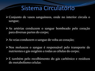 Sistema Circulatório
Conjunto de vasos sanguíneos, onde no interior circula o
sangue;
As artérias conduzem o sangue bombeado pelo coração
para diversas partes do corpo;
As veias conduzem o sangue de volta ao coração;
Nos moluscos o sangue é responsável pelo transporte de
nutrientes e gás oxigênio a todas as células do corpo;
E também pelo recolhimento do gás carbônico e resíduos
do metabolismo celular.
 