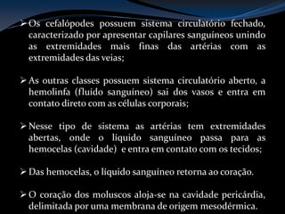 Os cefalópodes possuem sistema circulatório fechado,
caracterizado por apresentar capilares sanguíneos unindo
as extremidades mais finas das artérias com as
extremidades das veias;
As outras classes possuem sistema circulatório aberto, a
hemolinfa (fluído sanguíneo) sai dos vasos e entra em
contato direto com as células corporais;
Nesse tipo de sistema as artérias tem extremidades
abertas, onde o líquido sanguíneo passa para as
hemocelas (cavidade) e entra em contato com os tecidos;
Das hemocelas, o líquido sanguíneo retorna ao coração.
O coração dos moluscos aloja-se na cavidade pericárdia,
delimitada por uma membrana de origem mesodérmica.
 
