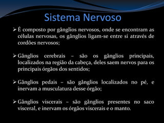 Sistema Nervoso
É composto por gânglios nervosos, onde se encontram as
células nervosas, os gânglios ligam-se entre si através de
cordões nervosos;
Gânglios cerebrais – são os gânglios principais,
localizados na região da cabeça, deles saem nervos para os
principais órgãos dos sentidos;
Gânglios pedais – são gânglios localizados no pé, e
inervam a musculatura desse órgão;
Gânglios viscerais – são gânglios presentes no saco
visceral, e inervam os órgãos viscerais e o manto.
 